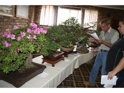 Gereformeerde Kerk, Boksburg North was full of intricately-shaped miniature trees, as tree hobbyist from different Bonsai clubs, in and around Gauteng, exhibited their pride and joy.