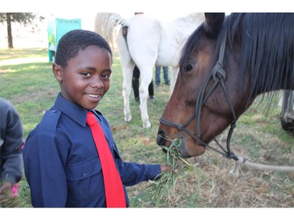 Brendon Gouws had fun feeding the SAPS horses.