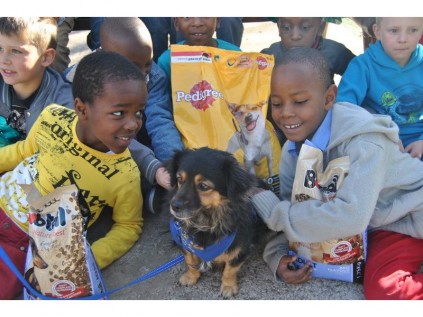 Austin Qamba and Troy Moyo from CBC Boksburg sharing their love with Paws for People therapy dog, Ricky, on his visit to the school on Mandela Day.