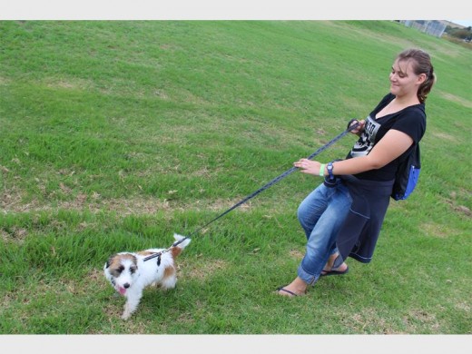 It was not an easy task for Maxine Ripley to walk Diesel.