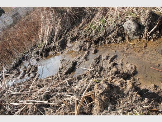 Over a million litres of fresh water is being wasted,