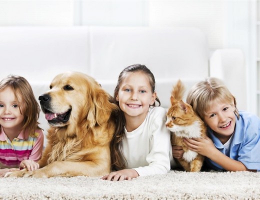 Children and Pets (Medium)