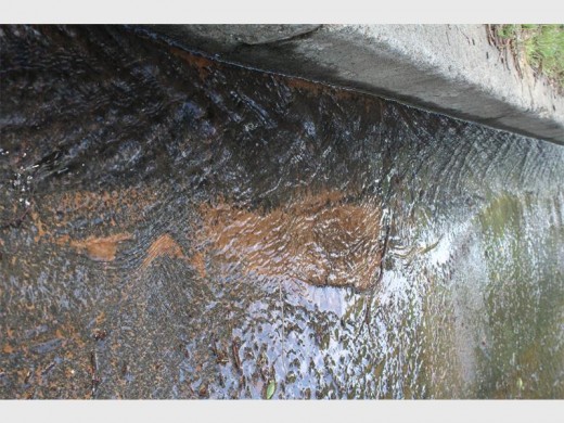 Kilolitres of water are being lost through leakage in Plantation.