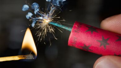 fireworks2_06240