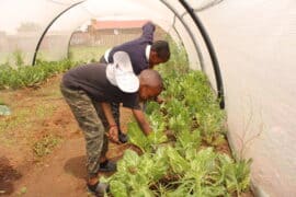 How local schools are teaching sustainability and climate awareness Pic 3