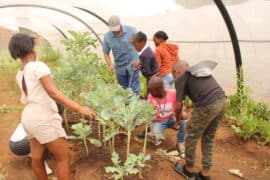 How local schools are teaching sustainability and climate awareness Pic 5