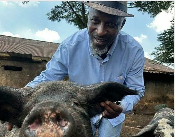 The motive behind the attacks is still unknown.