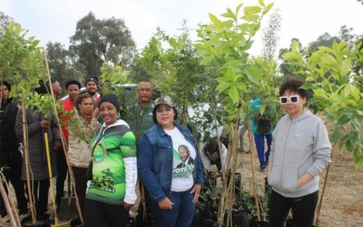 Residents plant trees in Delmore Garden residents plant trees in Delmore Garden