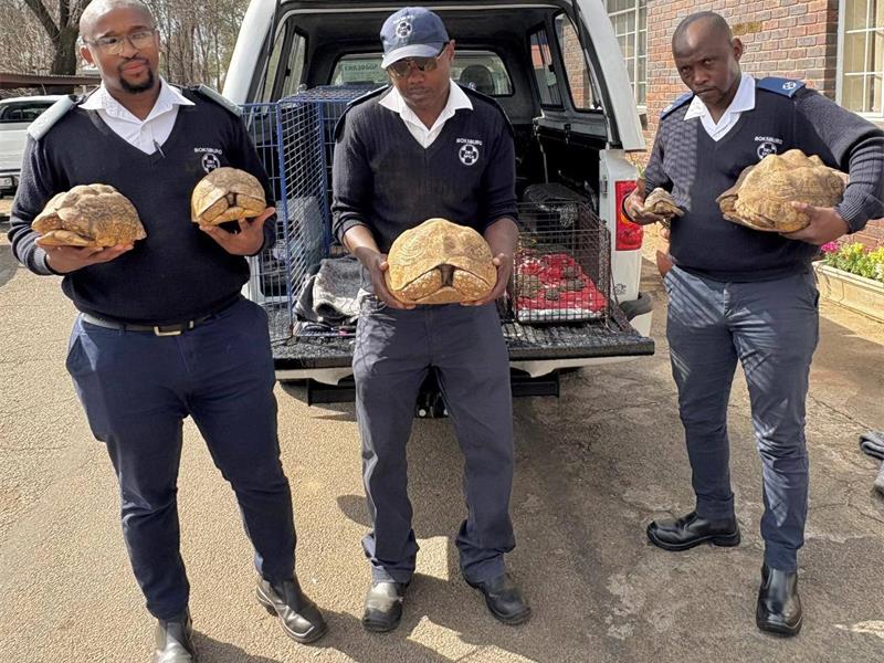 Some of the animals had to be humanely euthanised.