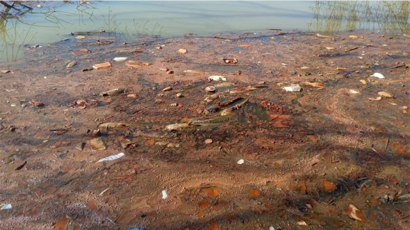 It’s still unclear whether the relevant authorities have taken any measures to counteract the acid and roll back the damage caused by the toxic acid mine and other pollutants.