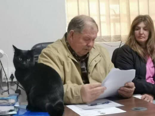 Boksburdg SPCA annual general meeting, 2025.