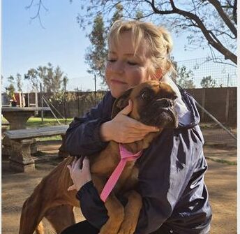 The society is still dealing with the owner accordingly.