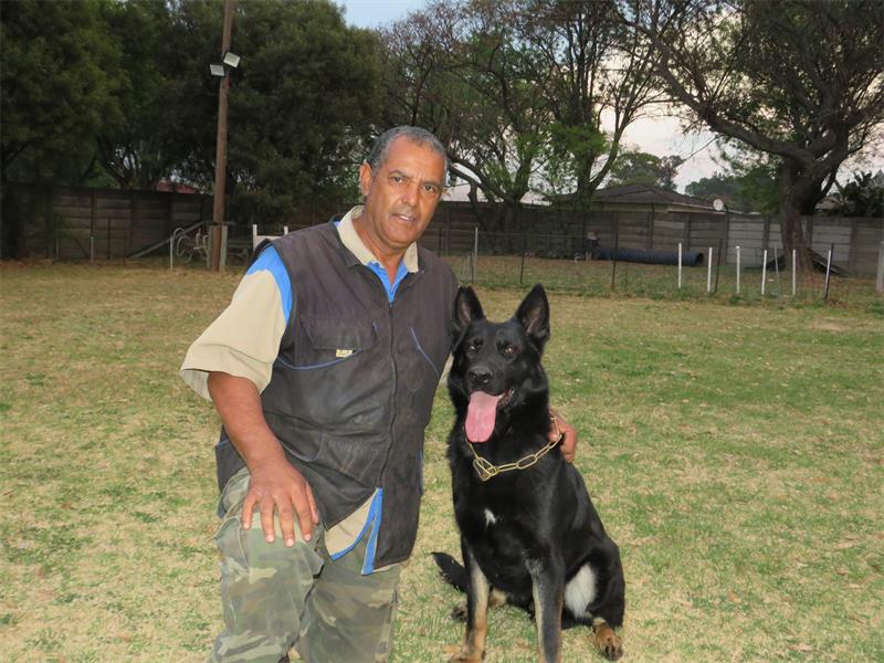 Rotek GSD Club goes beyond obedience training, offering youth and families opportunities to build confidence, responsibility and meaningful bonds while dogs of all breeds thrive.