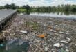 Boksburg Lake Clean-up