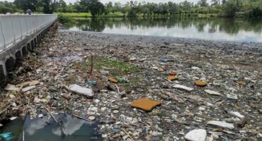 Boksburg Lake Clean-up