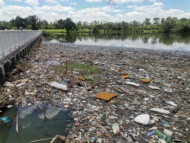 Boksburg Lake Clean-up