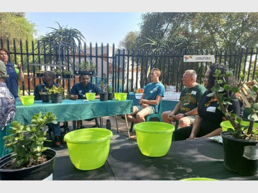People sitting around a table learning to plant Spekboom with plants and plant holders in the foreground.