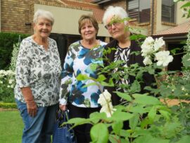 Open garden day