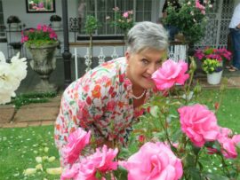 Open garden day
