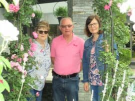 Open garden day