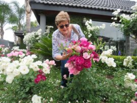Open garden day