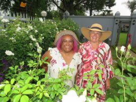 Open garden day