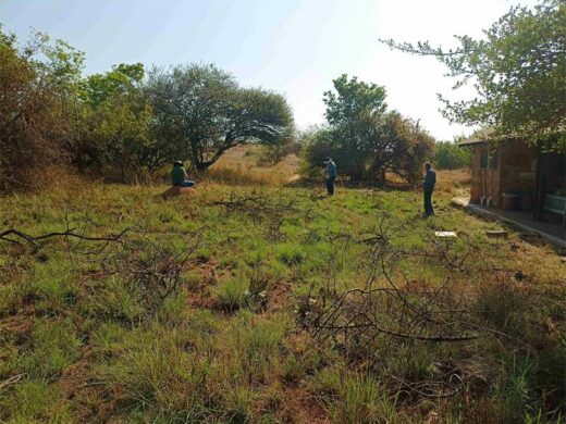 Three people in a bushy area at Melville Koppies.