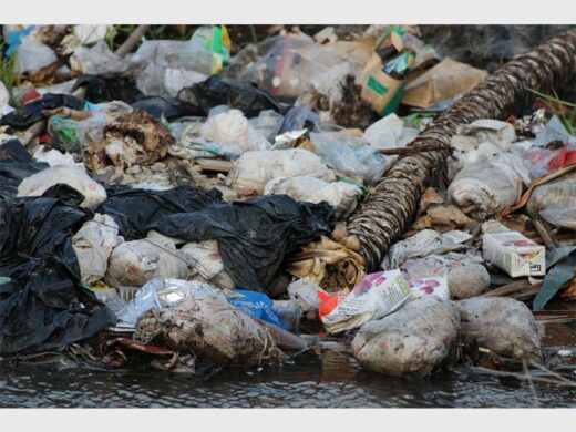 Illegally dumped baby nappies with garden waste next to a road