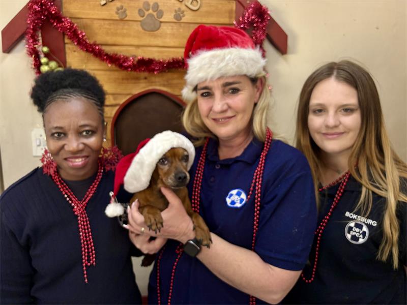 Every donation, no matter the size, brings a spark of joy and hope to an animal longing for a second chance this Christmas.