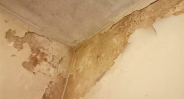 Cream white wall with cracks and blistering paint.