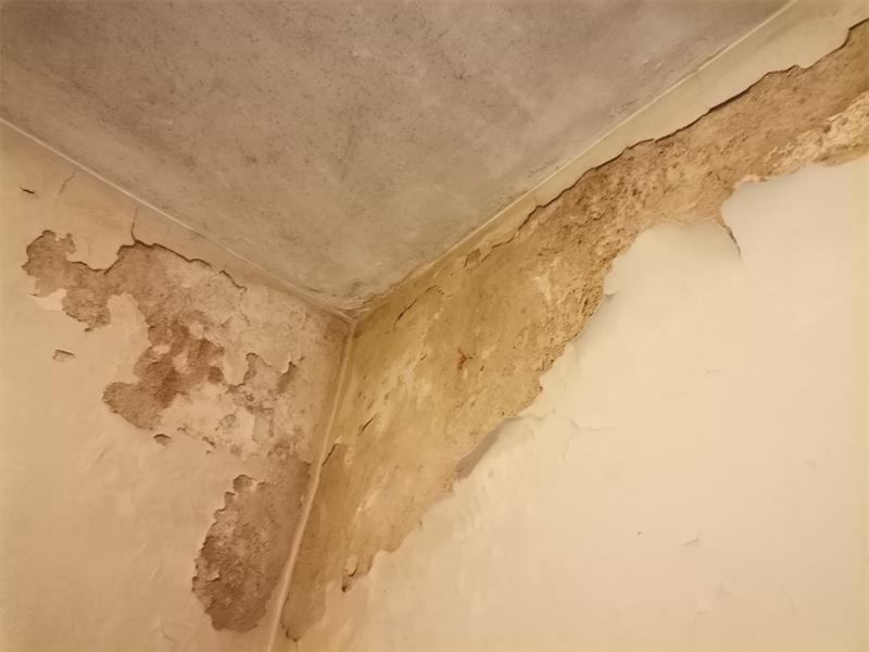 Cream white wall with cracks and blistering paint.