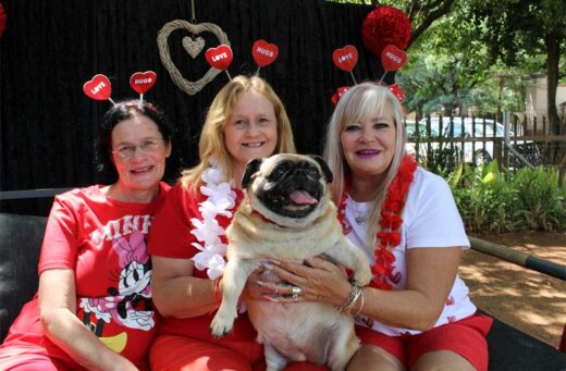 Make a donation and celebrate the festive season with barking good company.