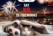 SPCA fireworks
