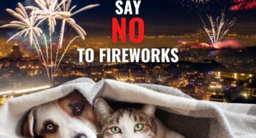 SPCA fireworks