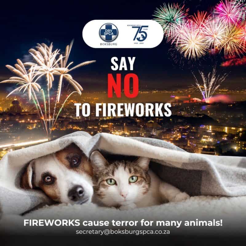 SPCA fireworks