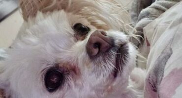 New Year's fireworks