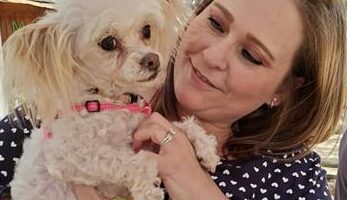 Dog lost due to fireworks.