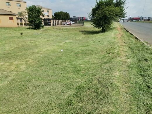 Overgrown grass lines this stretch of roadways