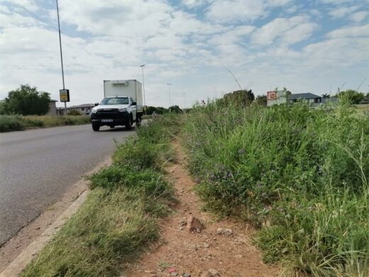 Overgrown grass lines this stretch of roadways