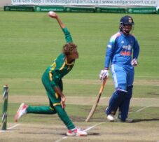 Cricket