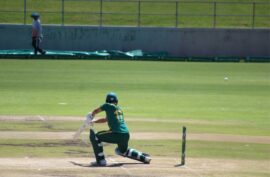 Cricket