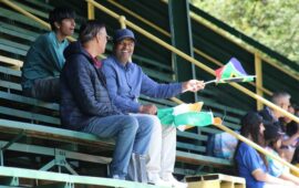 Cricket