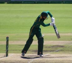 Cricket
