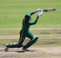Cricket