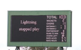 Cricket