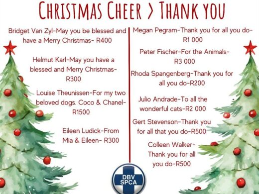 SPCA Cheer 