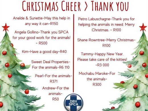 SPCA Cheer 