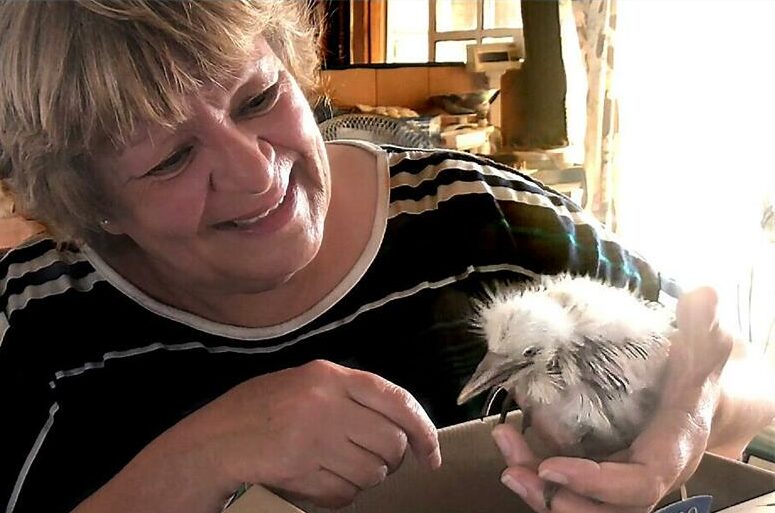 Woman smiling while holding a chick.