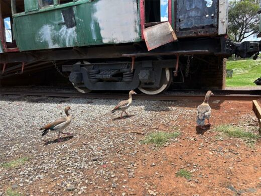 A stationary old train