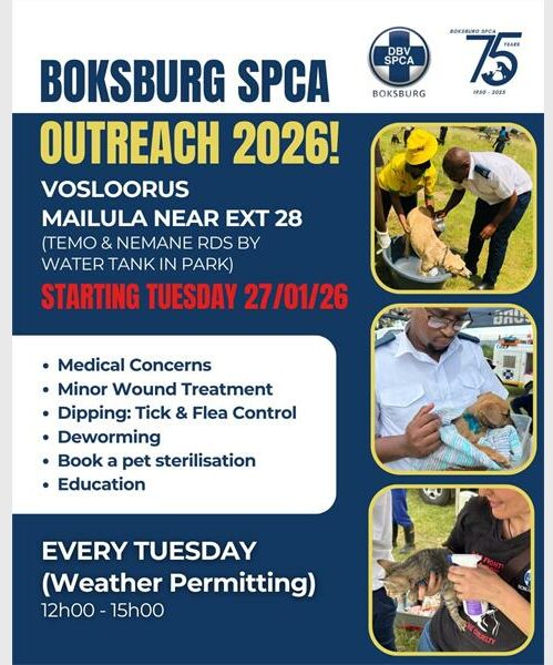 The organisation continues its weekly outreach in Vosloorus, offering vital animal healthcare services, sterilisation bookings and pet care education to local residents every Tuesday.